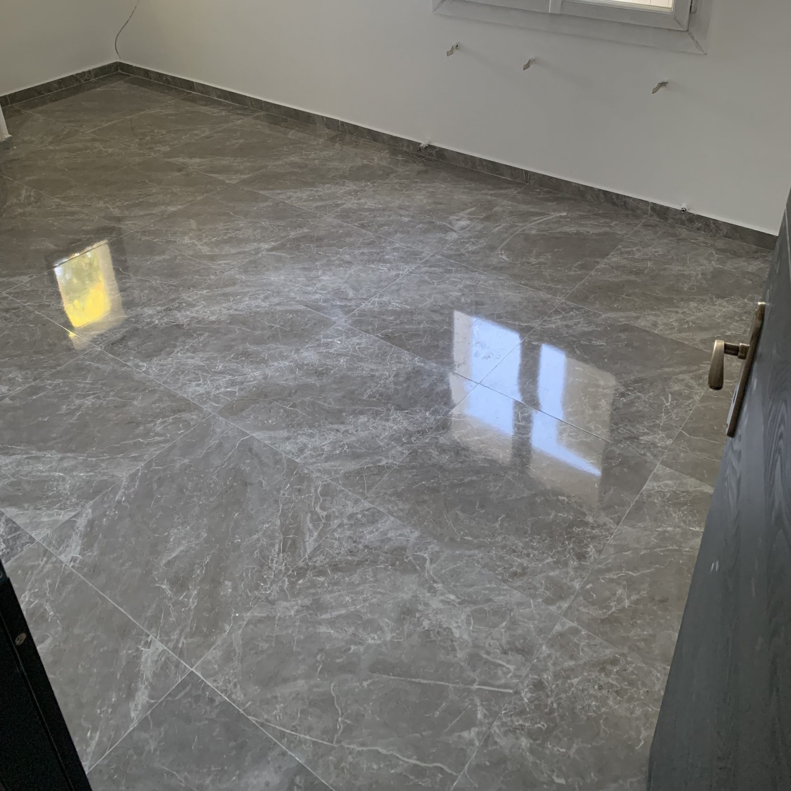 Balceta grey